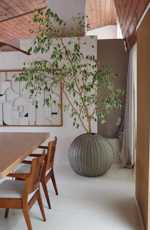 XL gym ball planter - split